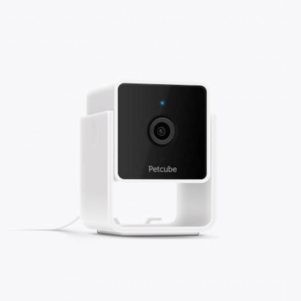 PetCube Cam Haustierkamera-Bestseller mit 1080-Pixel-HD, 2-Wege-Audio und 110°-Linse