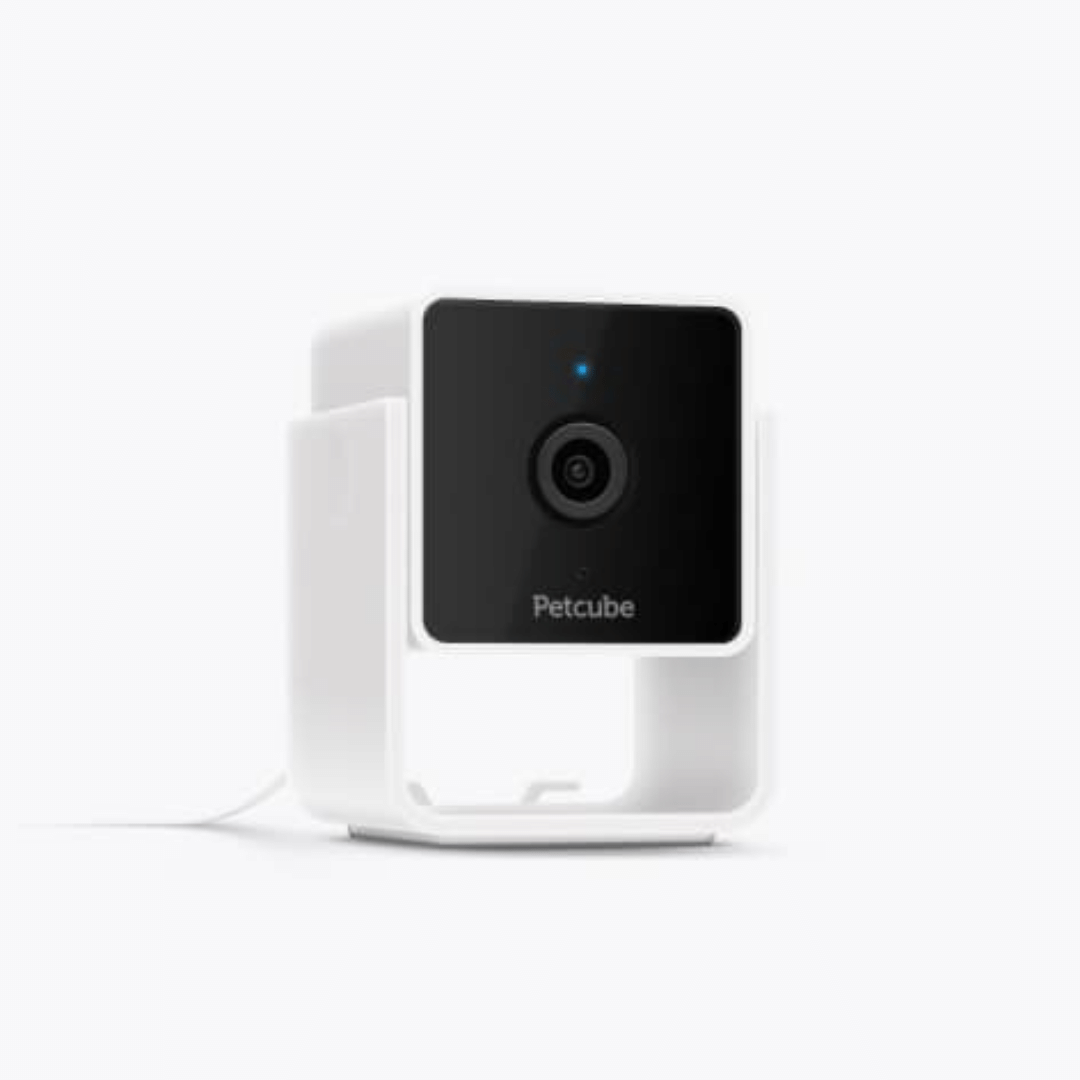 PetCube Cam Haustierkamera-Bestseller mit 1080-Pixel-HD, 2-Wege-Audio und 110°-Linse
