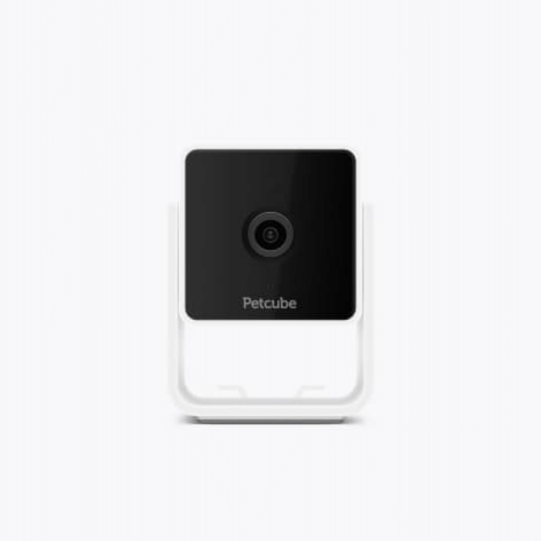PetCube Cam Haustierkamera-Bestseller mit 1080-Pixel-HD, 2-Wege-Audio und 110°-Linse