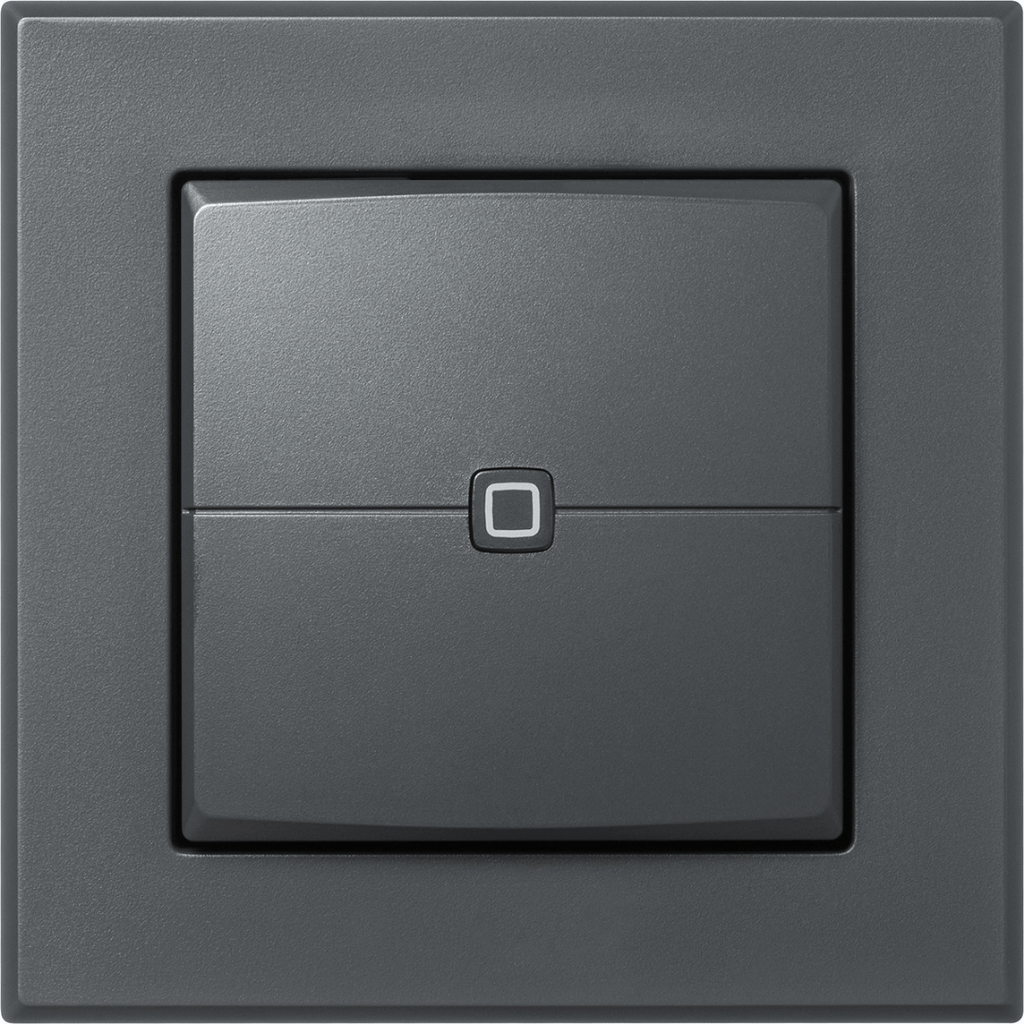 Homematic IP Wired Wandtaster 2-fach, anthrazit HmIPW-WRC2-A