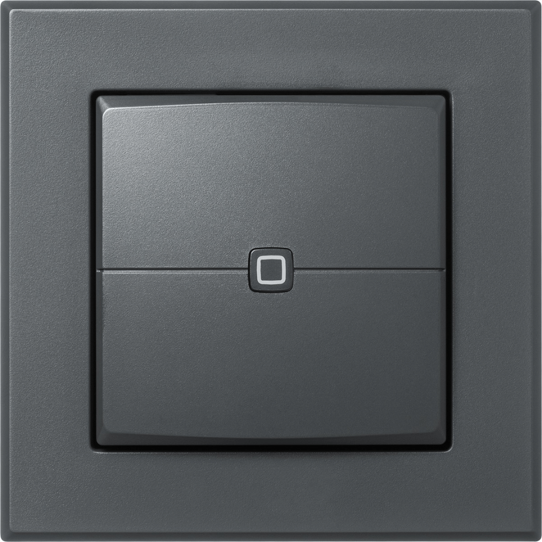 Homematic IP Wired Wandtaster 2-fach, anthrazit HmIPW-WRC2-A