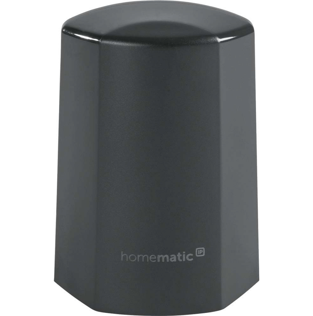 Homematic IP-Temp-und Feuchtesensor außen, anthrazit HmIP-STHO-A