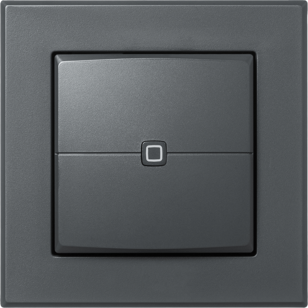 Homematic IP Wandtaster 2-fach anthrazit HmIP-WRC2-A