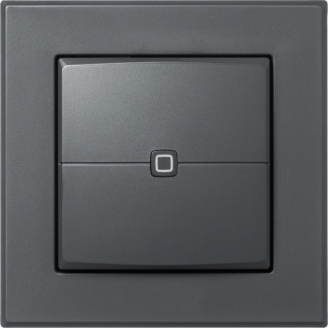 Homematic IP Wandtaster 2-fach anthrazit HmIP-WRC2-A