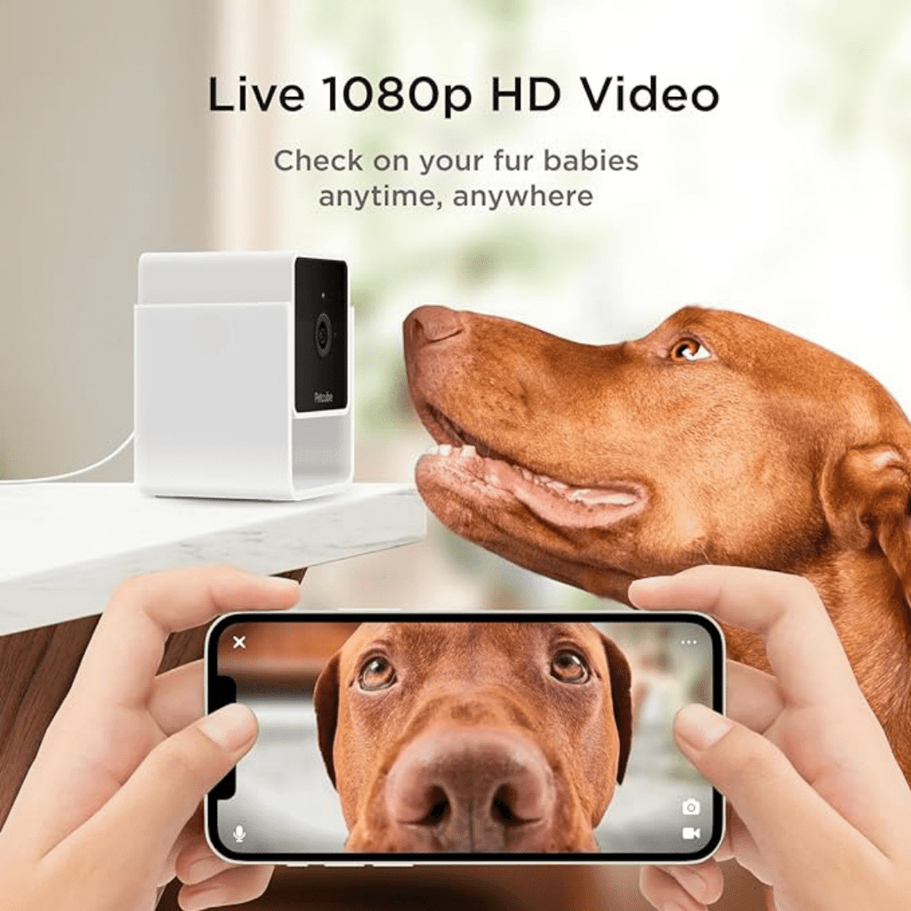 PetCube Cam Haustierkamera-Bestseller mit 1080-Pixel-HD, 2-Wege-Audio und 110°-Linse