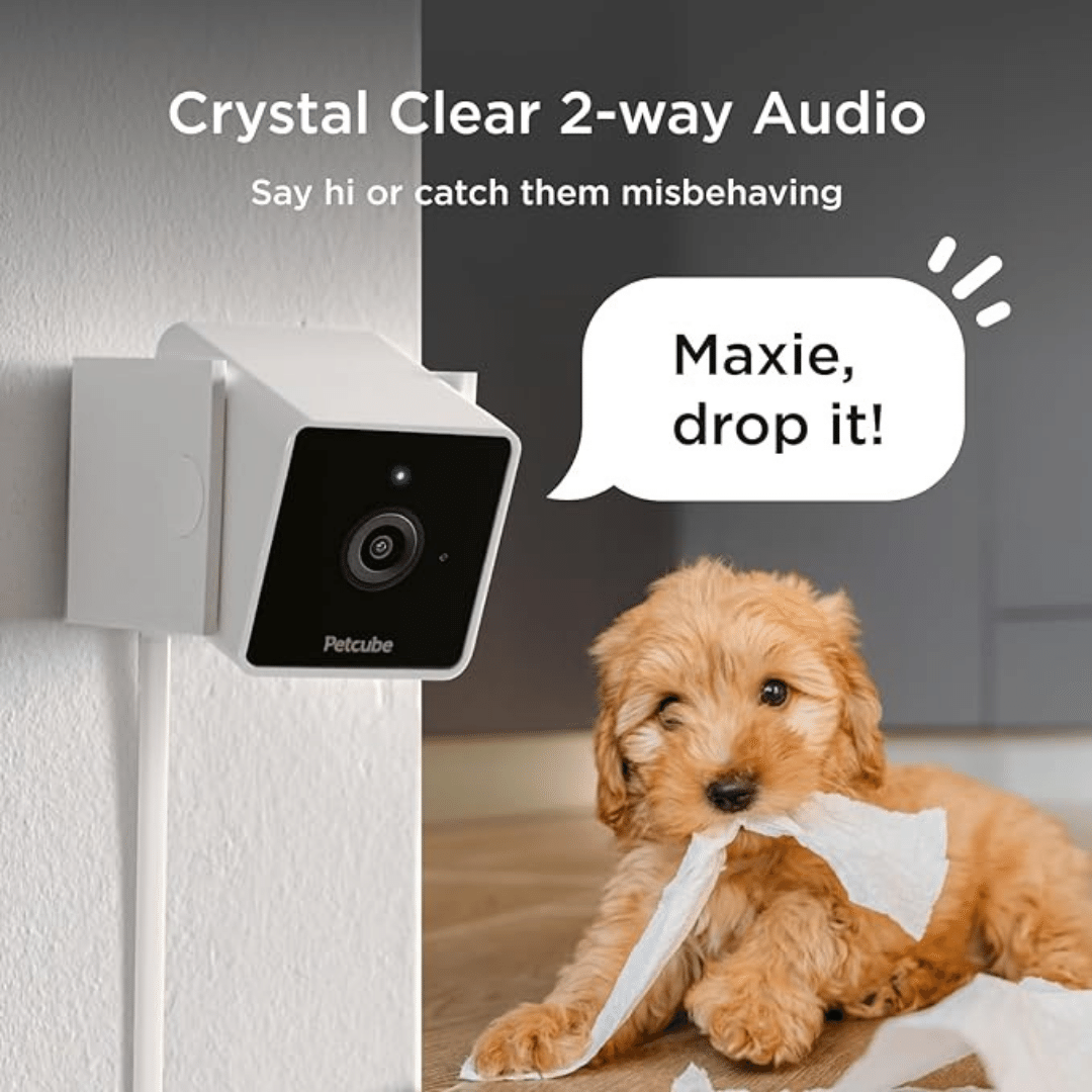 PetCube Cam Haustierkamera-Bestseller mit 1080-Pixel-HD, 2-Wege-Audio und 110°-Linse