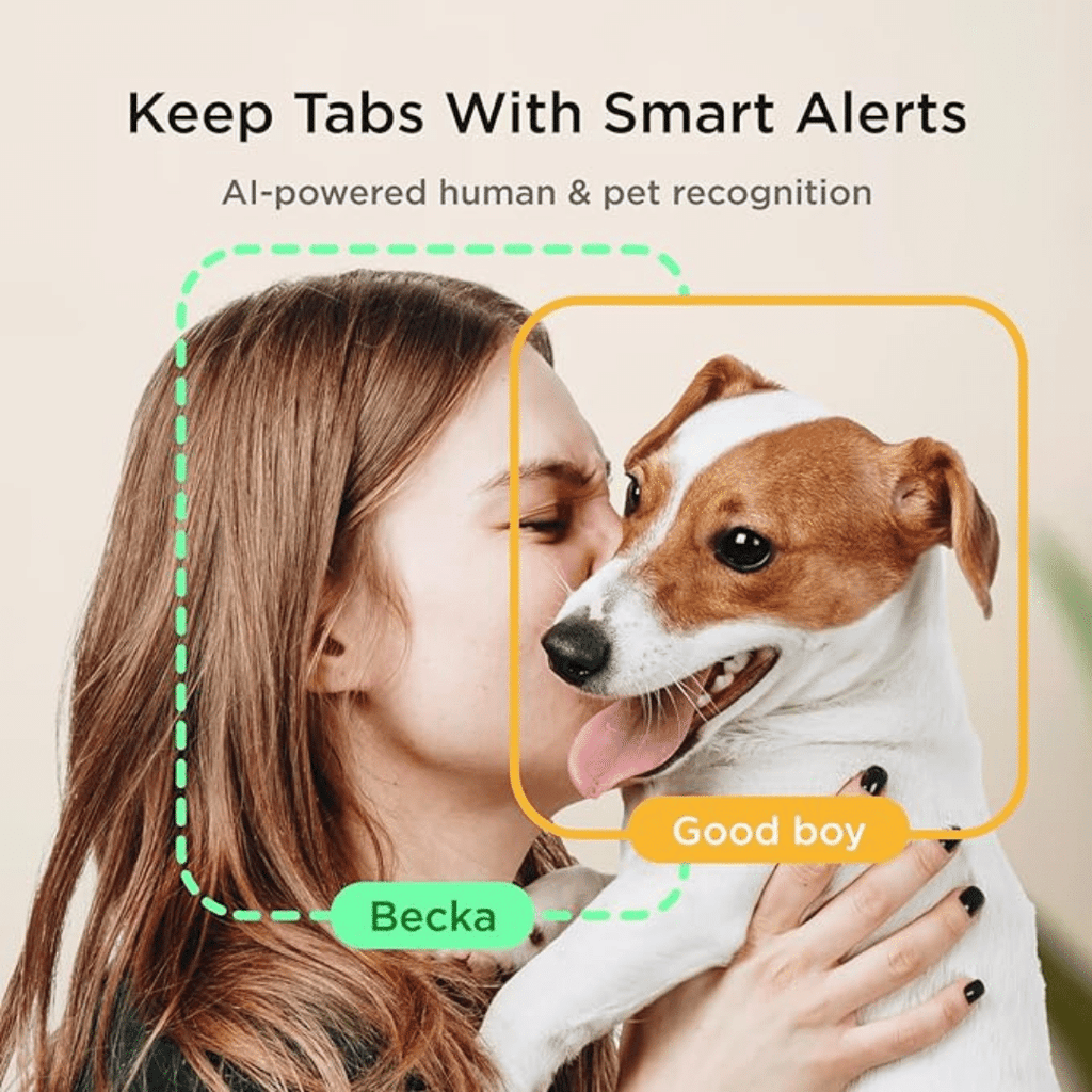 PetCube Cam Haustierkamera-Bestseller mit 1080-Pixel-HD, 2-Wege-Audio und 110°-Linse