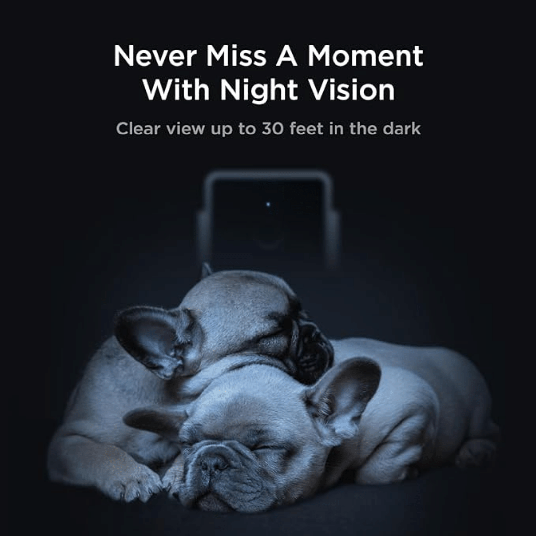 PetCube Cam Haustierkamera-Bestseller mit 1080-Pixel-HD, 2-Wege-Audio und 110°-Linse