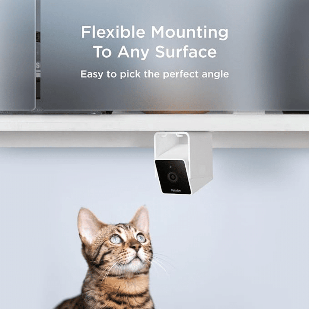 PetCube Cam Haustierkamera-Bestseller mit 1080-Pixel-HD, 2-Wege-Audio und 110°-Linse